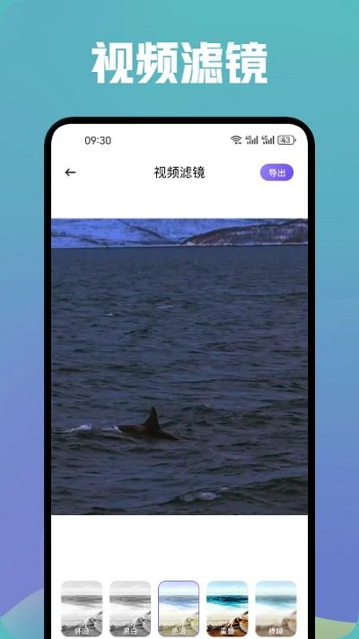 香蕉视频app