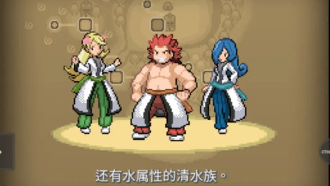 宝可梦武士道下载