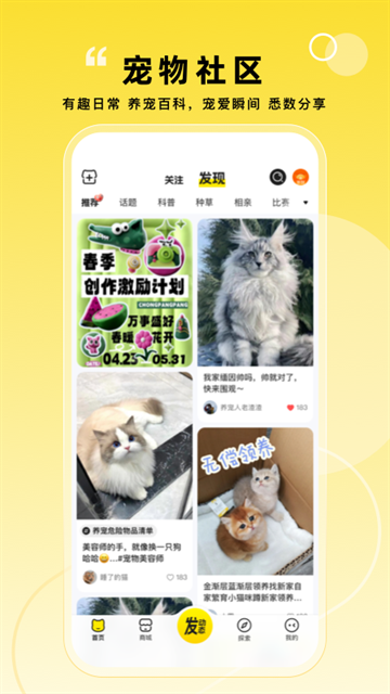 宠胖胖2026官方下载