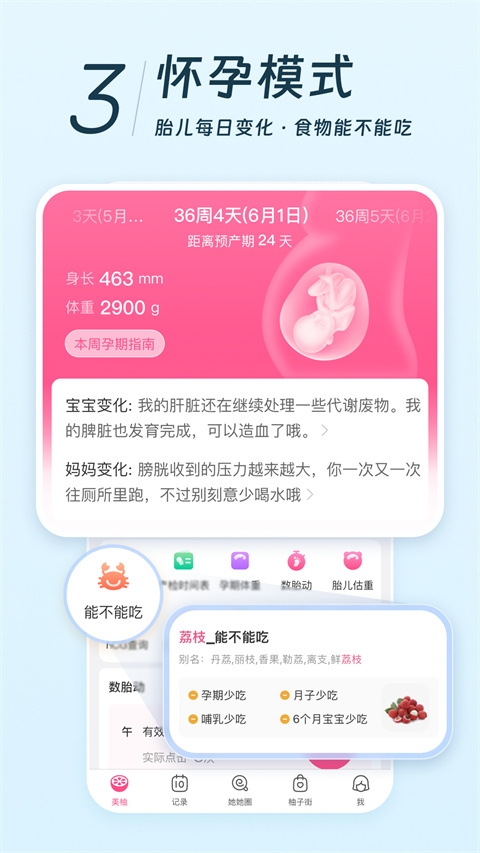 美柚2026官方版