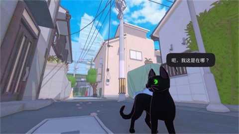 小猫咪大城市下载