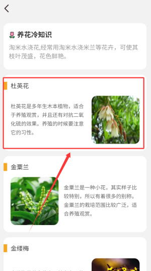 百花悦看app
