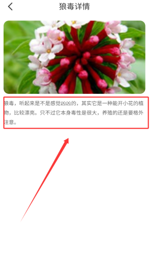 百花悦看app