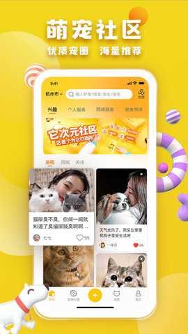 宠胖胖宠托师测试
