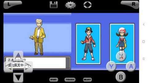 口袋妖怪魂银中文版nds