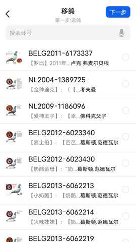 信鸽云app