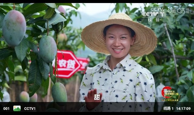 2026影视壳子最新版官方