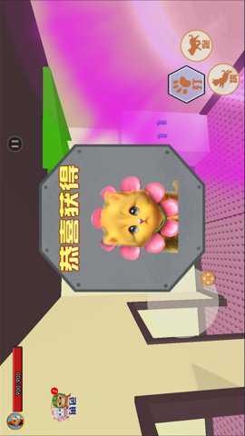 萌猫公园挑战