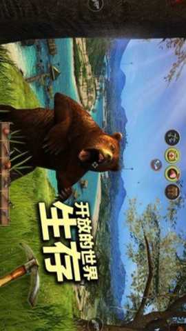 辐射岛生存汉化版