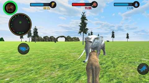 动物狩猎计划下载