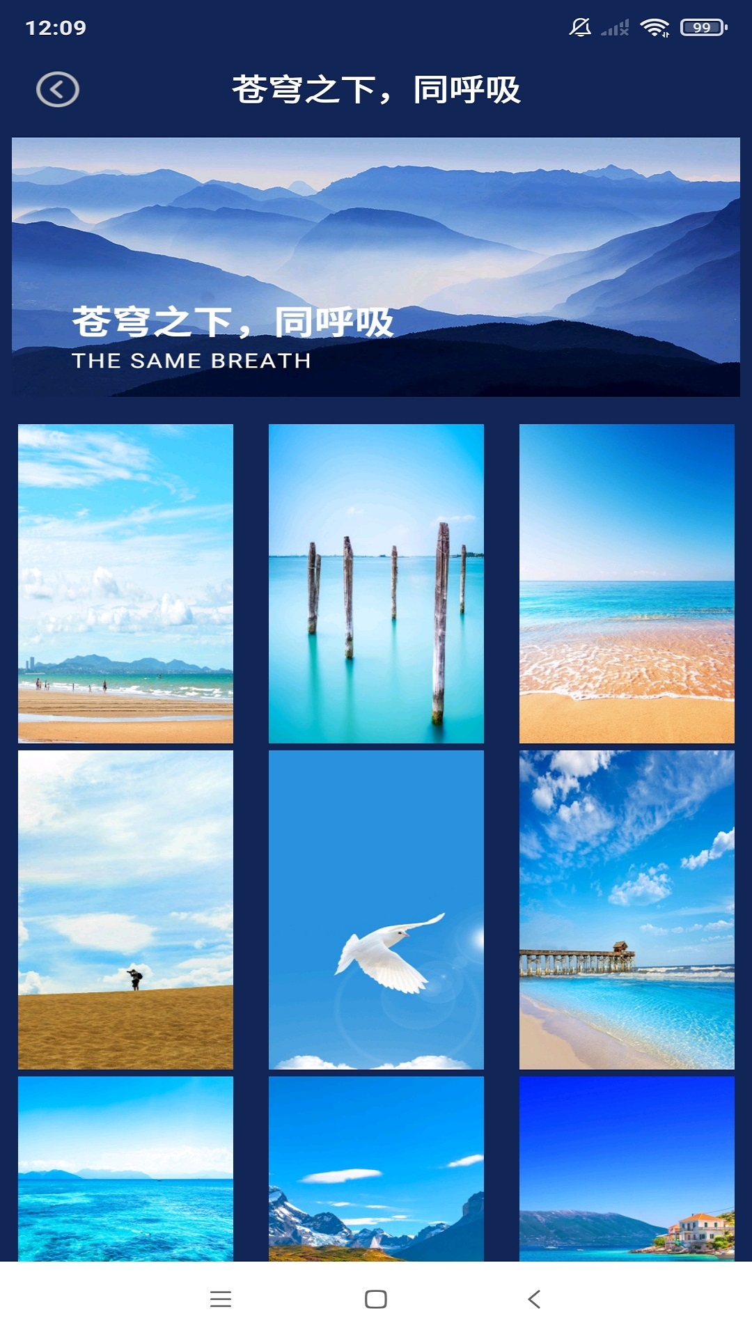 动态壁纸秀场手机版