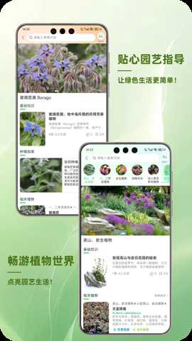踏遍景观植物词典