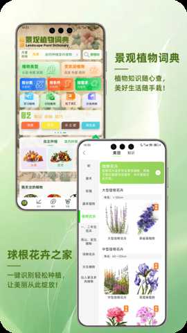 踏遍景观植物词典