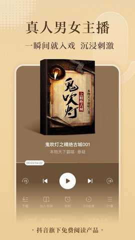 番茄免费听小说