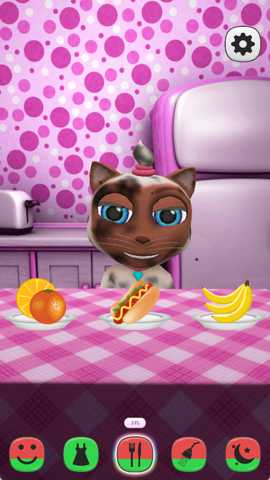 爱说话的小猫咪下载