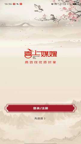 喜上媒嫂下载