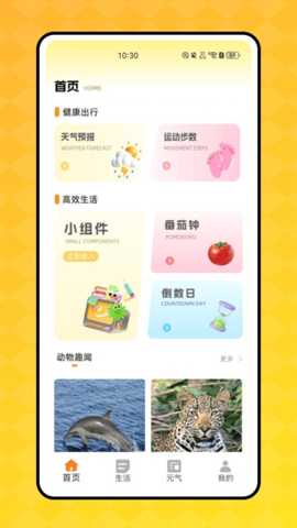 顶萌小组件
