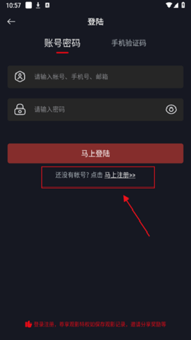 网飞猫