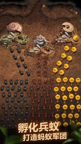 小小蚁国应用宝版下载