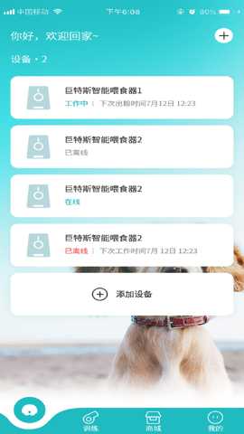 训宠大师