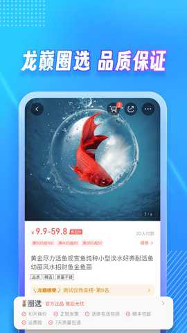 龙巅app