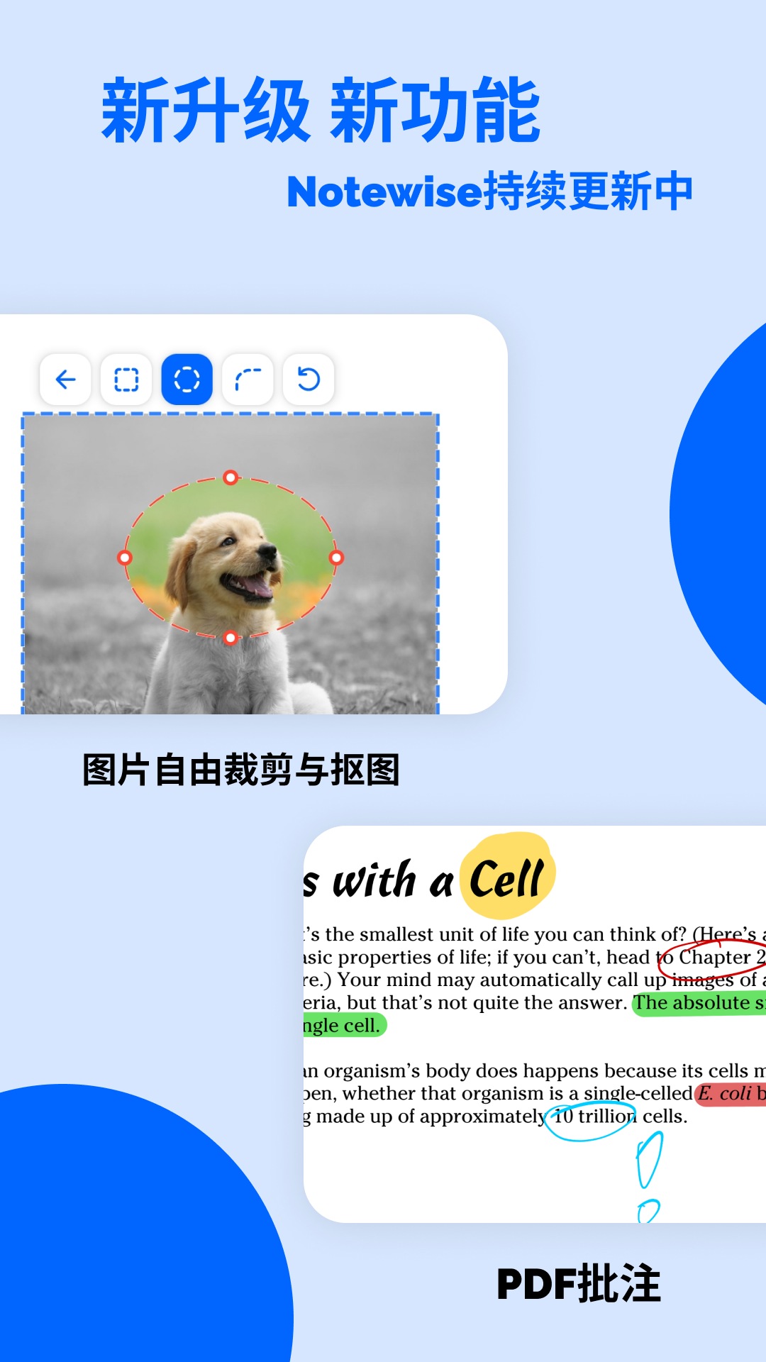 Notewise官网版