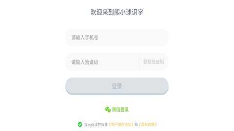 讯飞熊小球