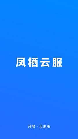 凤栖云服下载