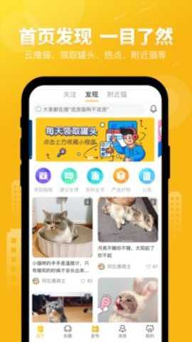 友猫宠物
