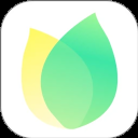 飞火动态壁纸官网版