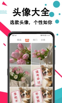 好看手机壁纸