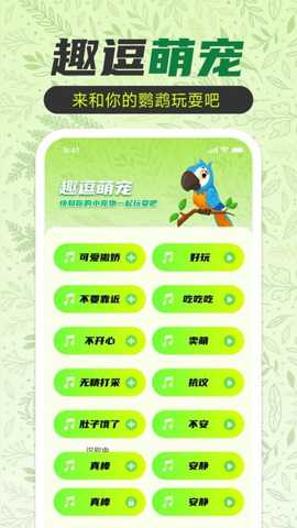 鹦鹉翻译助手
