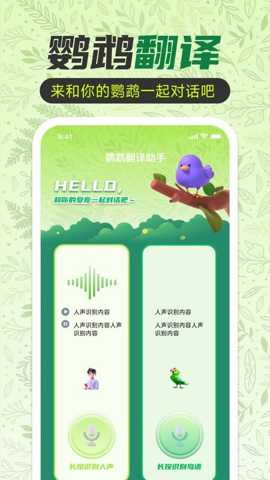 鹦鹉翻译助手