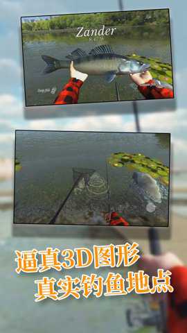 全民学钓鱼下载
