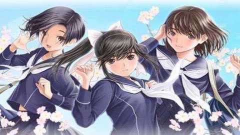 爱相随nds汉化下载