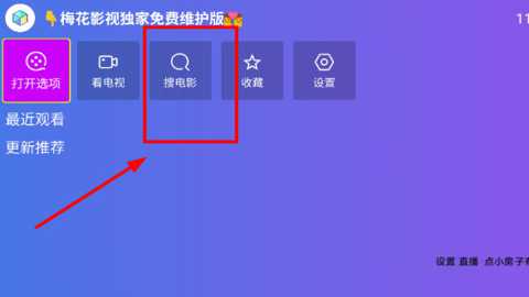 梅花影视电视版