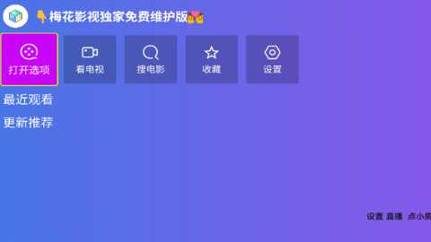 梅花影视电视版