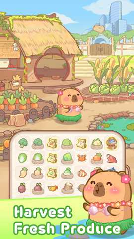 慢豚豚生活下载