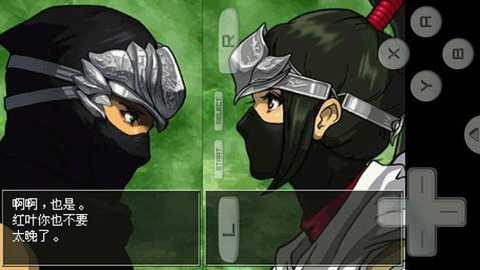 忍者龙剑传龙剑