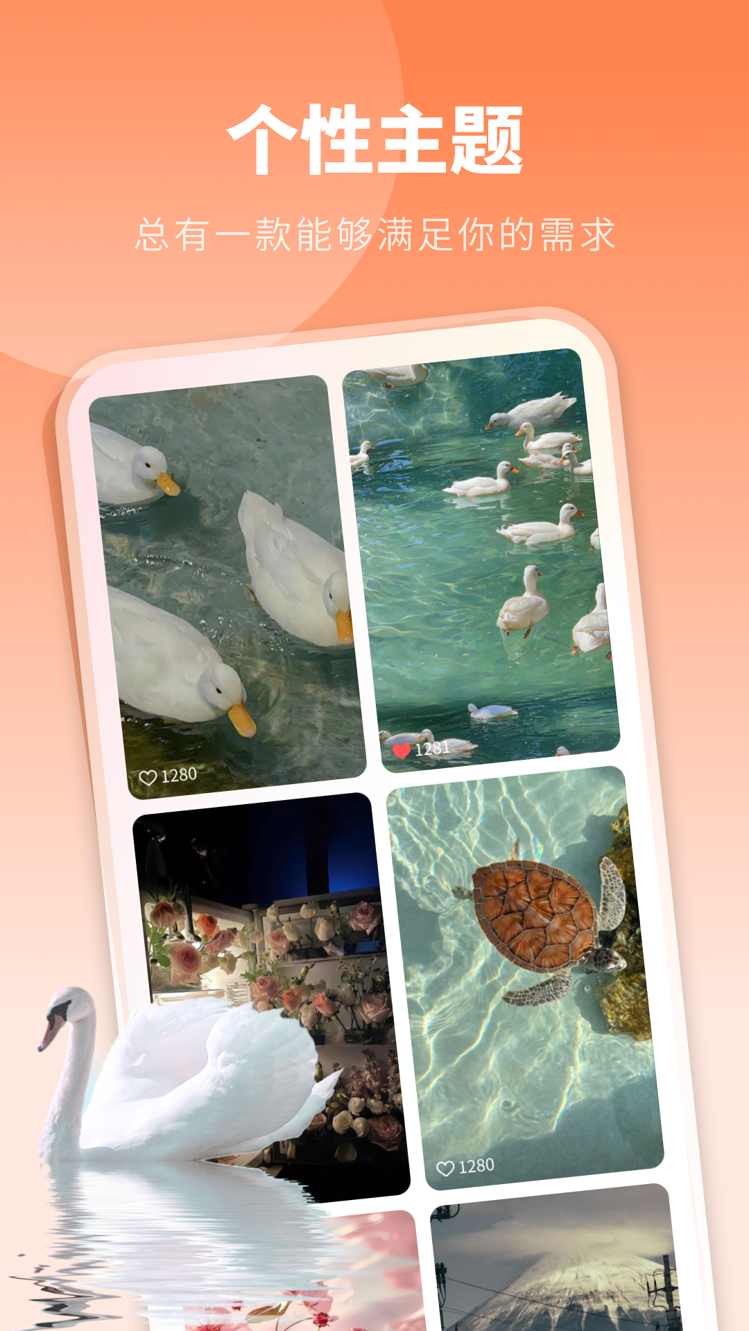 酷琪壁纸app最新版