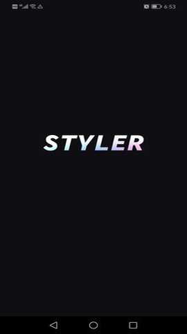 Styler照片修复软件