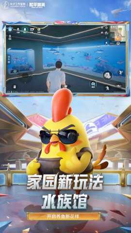 和平精英赛事专用服下载