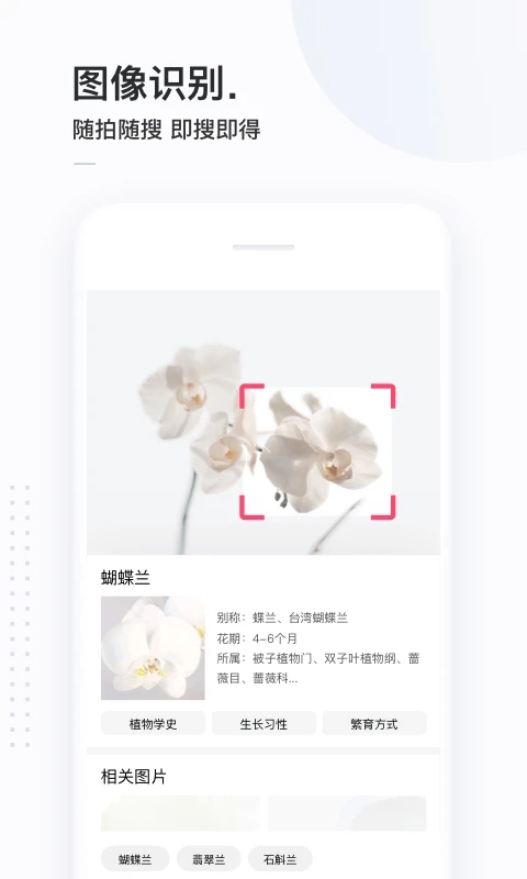 简单搜索app历史版本