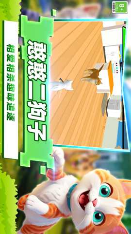 开心猫咪下载