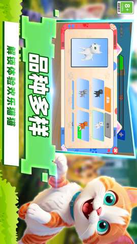 开心猫咪下载