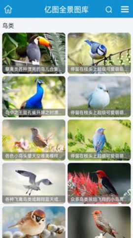 亿图全景图库