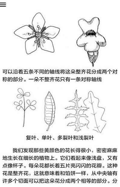 中国野外植物识别手册