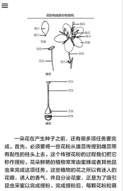 中国野外植物识别手册