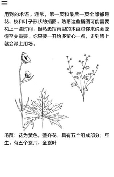 中国野外植物识别手册
