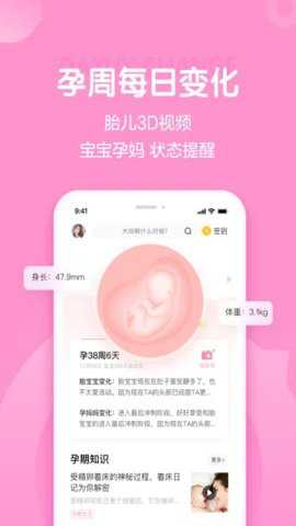 妈妈网孕育备孕